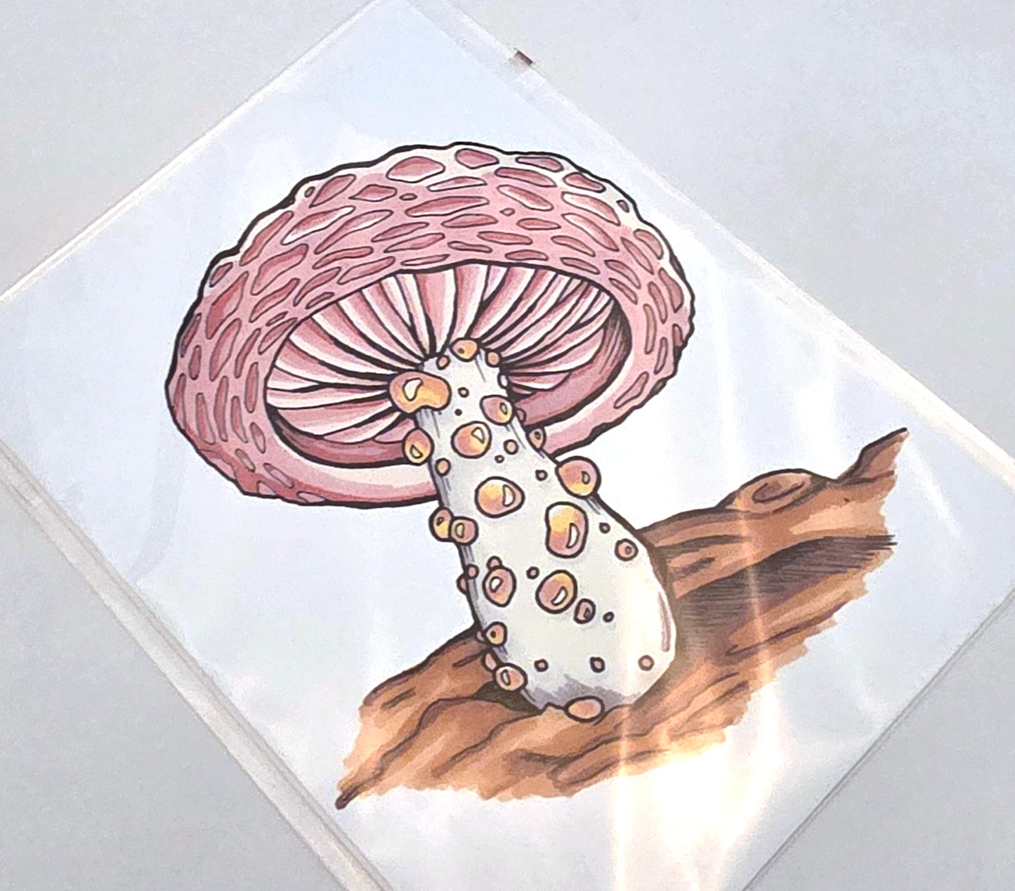 Wrinkled Peach Mushroom Art Print