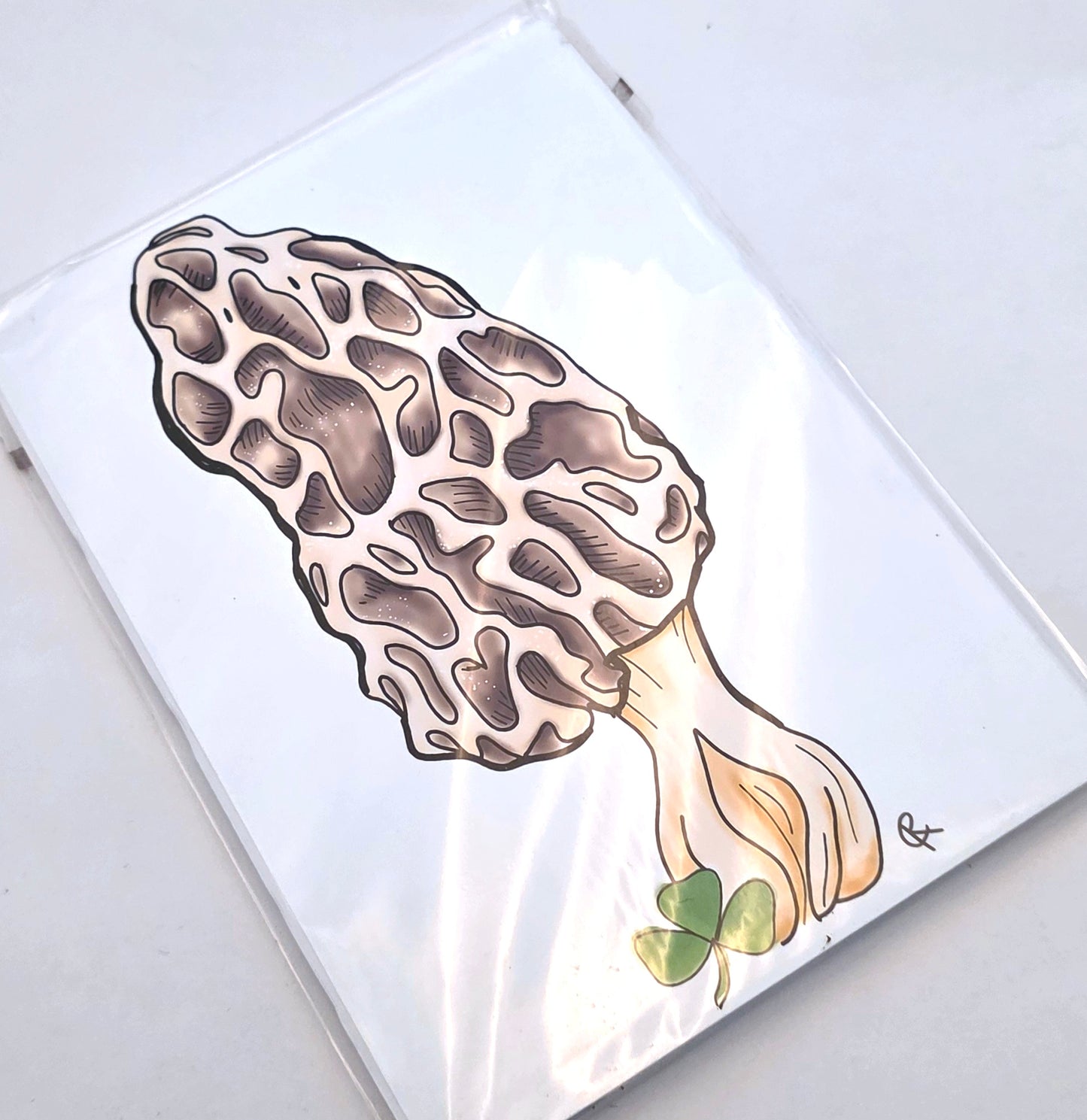 Morel Mushroom Art Print