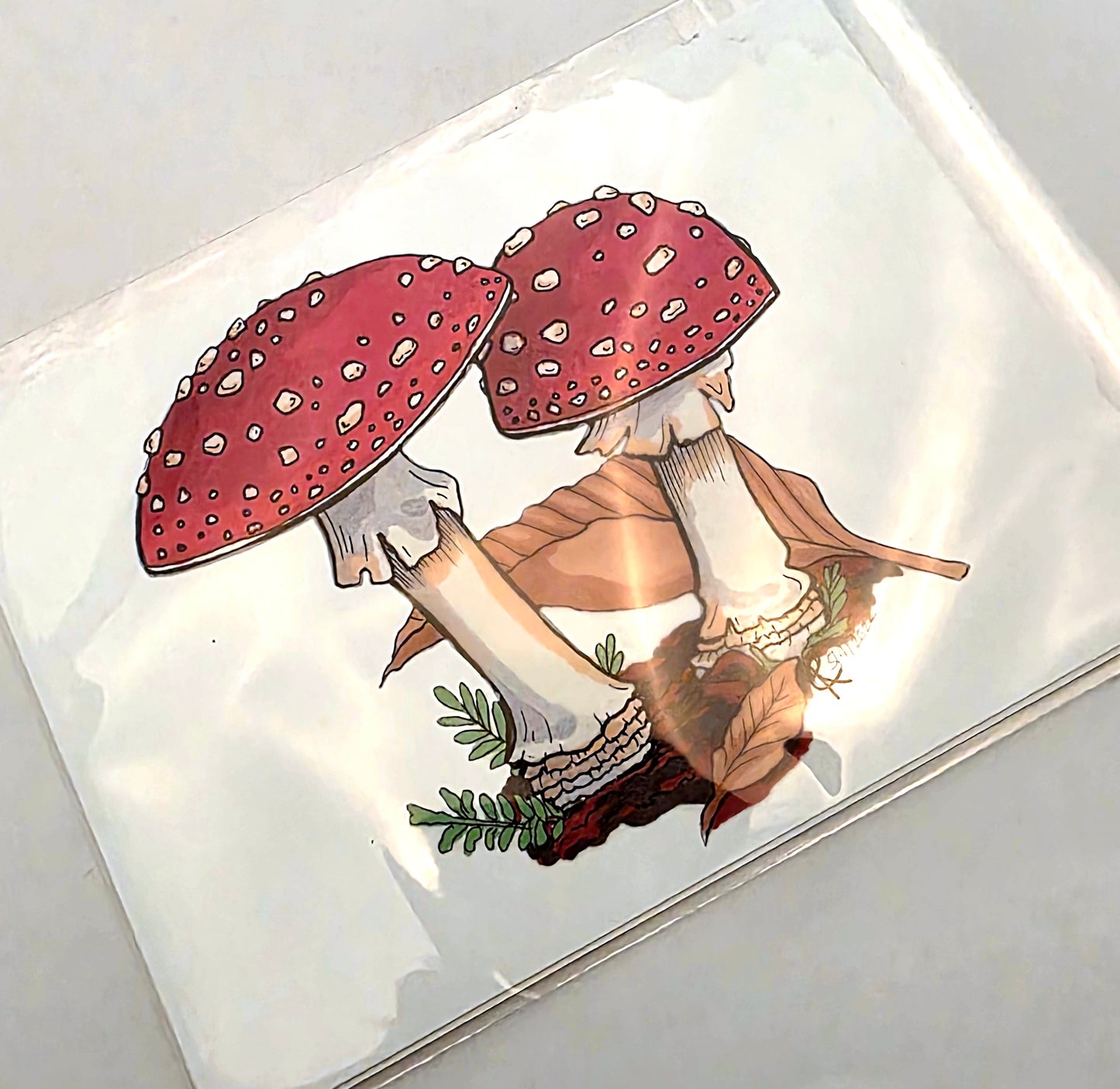 Fly Amanita Mushroom Cluster Art Print