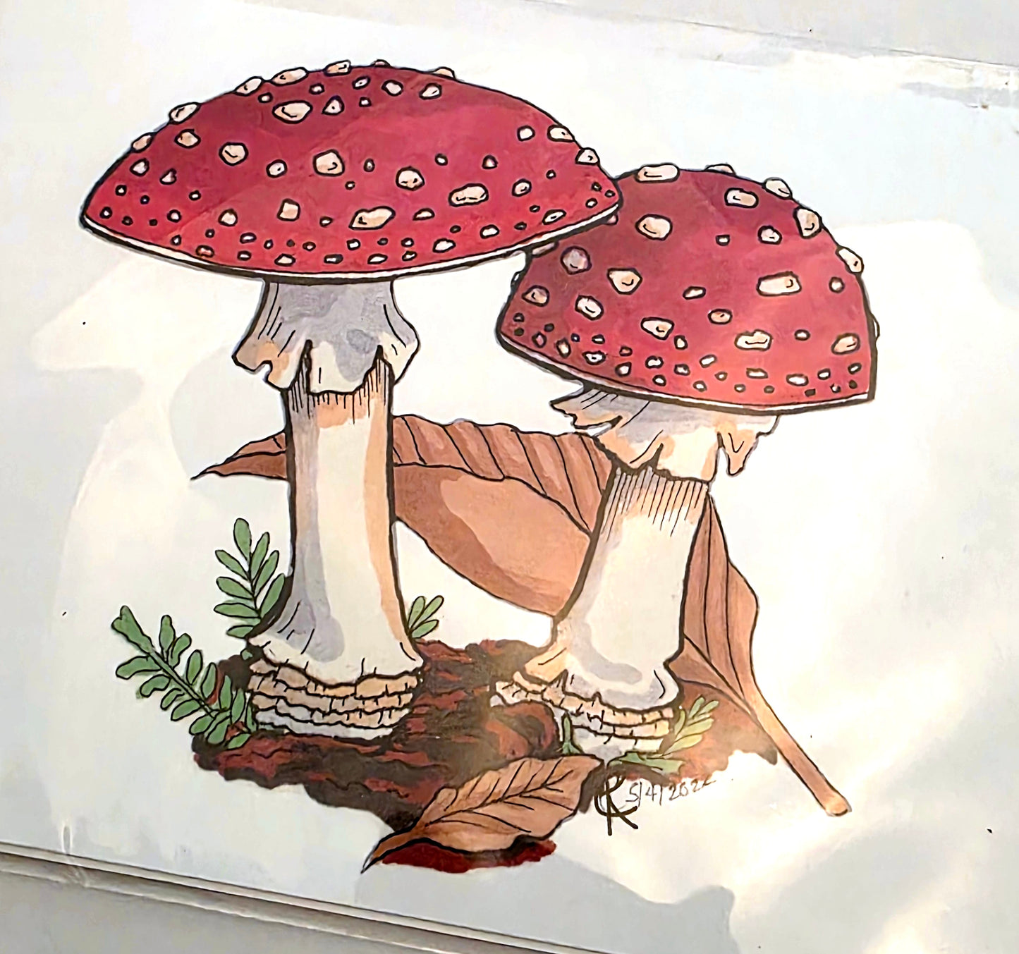 Fly Amanita Mushroom Cluster Art Print
