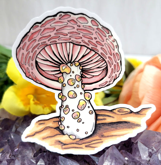 Wrinkled Peach Pink Mushroom Vinyl Sticker