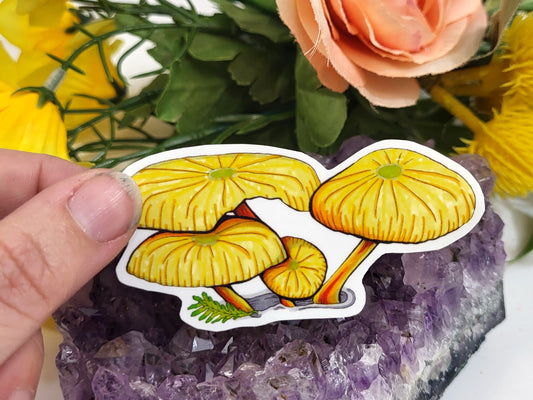 Pinewood Gingertail Yellow Mushroom Vinyl Sticker