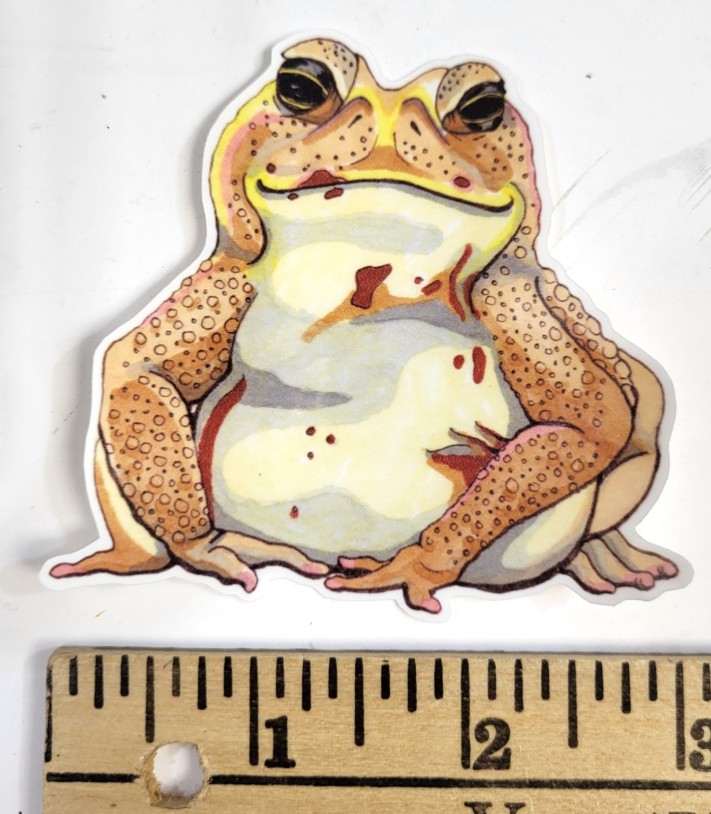 Cane Toad Vinyl Sticker