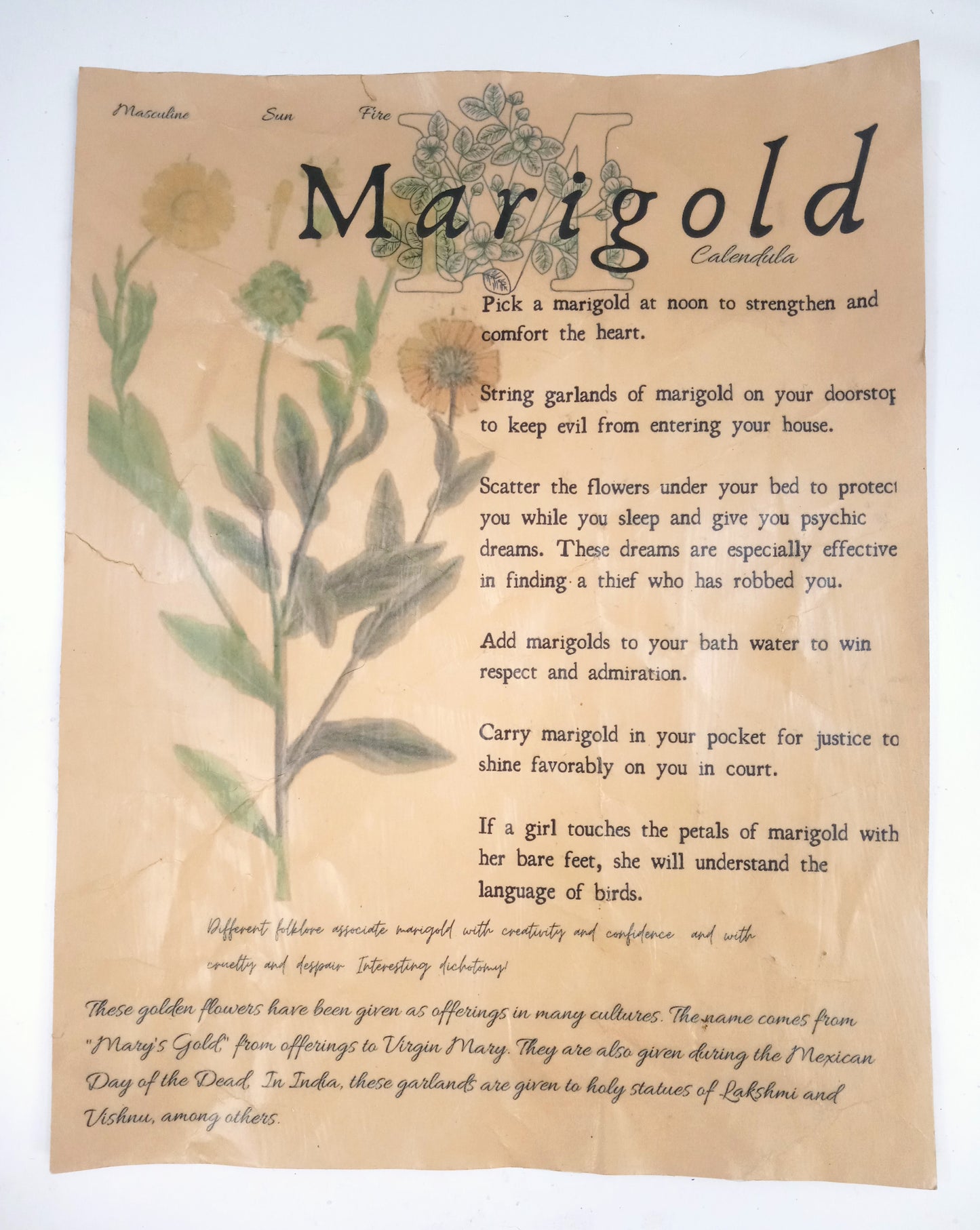 Magical Herbalism Book of Shadows Page Prints